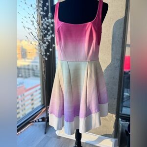 EUC Size 12 Esteban Cortazar Ombré Flamenco Sleeveless Scoop Dress